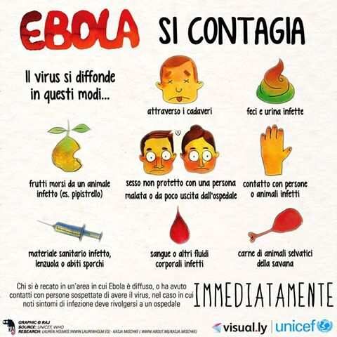 Come si contrae il virus ebola 