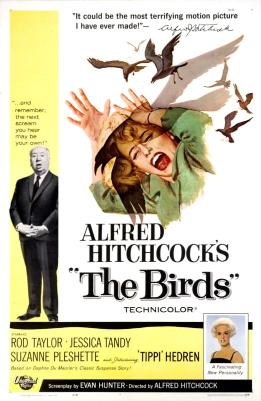 Gli uccelli (The Birds) il film di Alfred Hitchcock